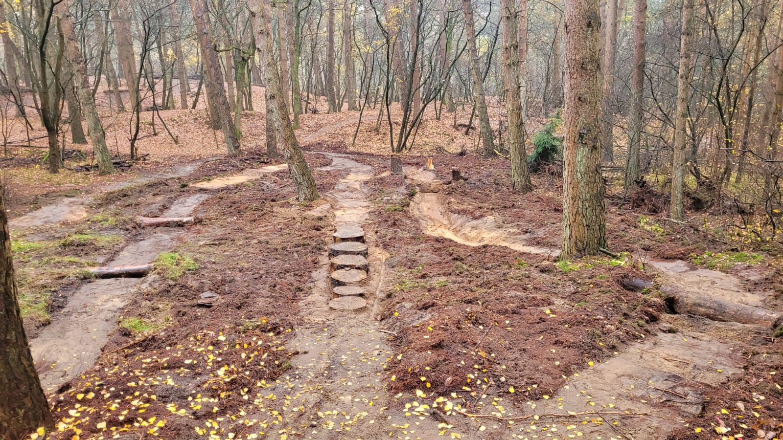 Skillpark Leersum Lowspeed